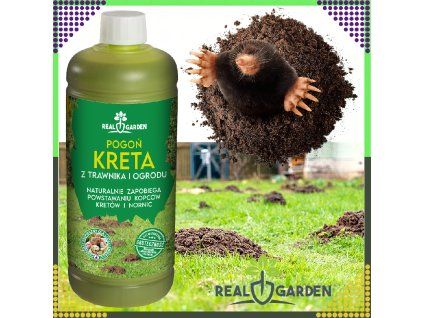 original 8ae30c54ee741f6087f305cfd5bad024