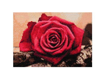 original 3adbb5e74dcd0c7a8e5c202e4e0757d3