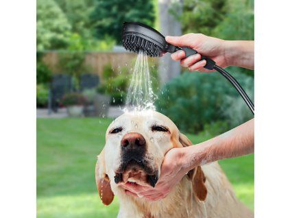 original d8d9c0868f3def1a728ee2ba33264754