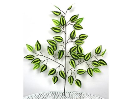 FIKUS list, benjamín se světlými pruhy, 3-ramenný - 60 cm