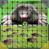 original e68b51b938d52be182895d7b22cd988a