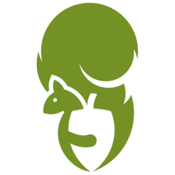 MrOrech.com