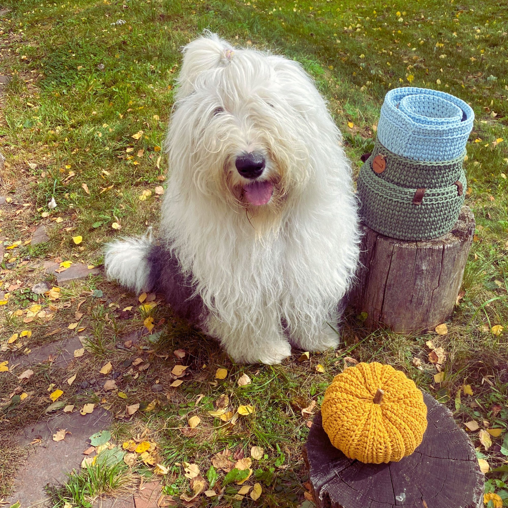 Jak si panička zlomila kotník a mnoho měsíců bylo špatně.