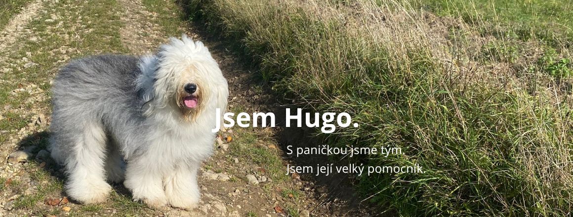 Hugo pomocník