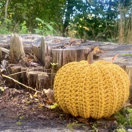 752D3354 63BD 454D 8E70 BF2D2853F5B0 1 201 a