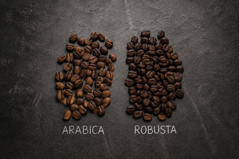 Arabica vs Robusta jaký je mezi nimi rozdíl?