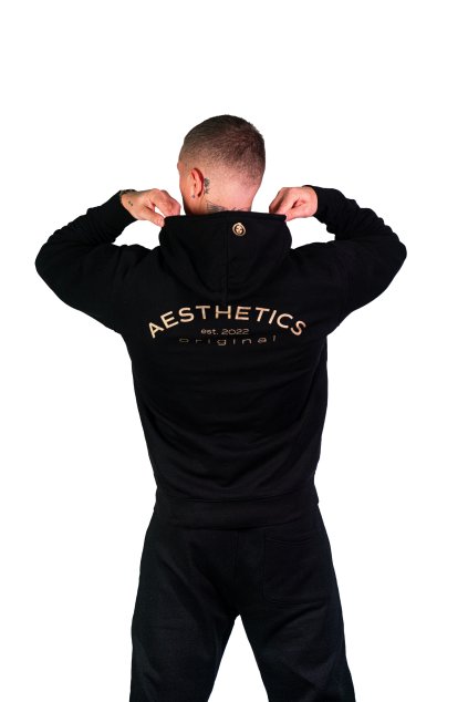 Men’s Hoodie – AESTHETICS Est. 2022 (Black)