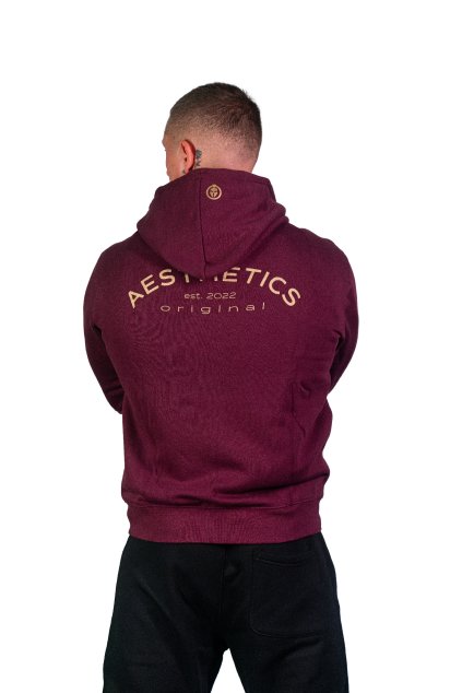 Men’s Hoodie – AESTHETICS Est. 2022 (Burgundy)