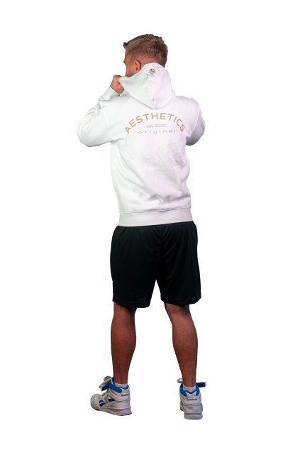 Men’s Hoodie – AESTHETICS Est. 2022 (White)