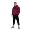 Men’s Hoodie – AESTHETICS Est. 2022 (Burgundy)