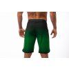 Boardshorts – TOXIC FLAME