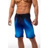 Competition Boardshorts – ARCTIC FLAME
