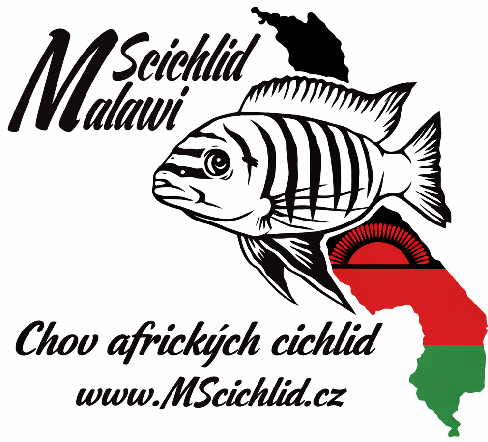 MScichlid