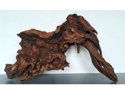 Kořen Dark Wood no.013