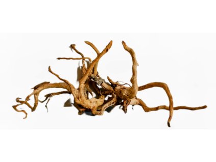 Kořeny Red Moor Wood sada 7ks no.022