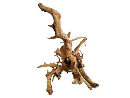 Kořen Red Moor Wood no.025