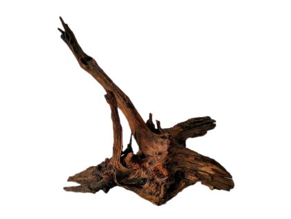 Kořen Dark Wood no.014