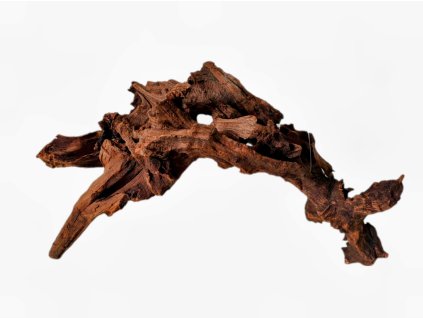 Kořen Dark Wood no.015