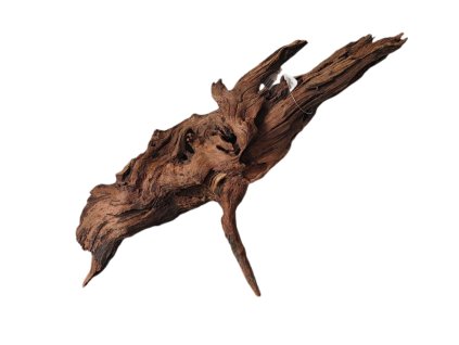 Kořen Dark Wood no.018