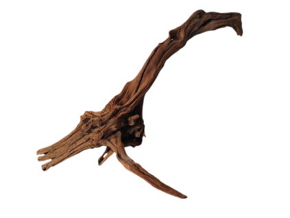 Kořen Dark Wood no.019