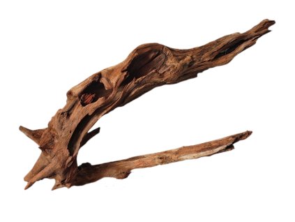 Kořen Dark Wood no.020