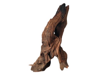 Kořen Dark Wood no.021