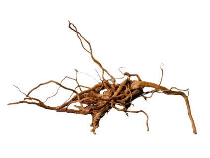 Kořen Red Moor Wood no.028