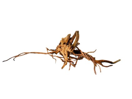 Kořen Red Moor Wood no.029