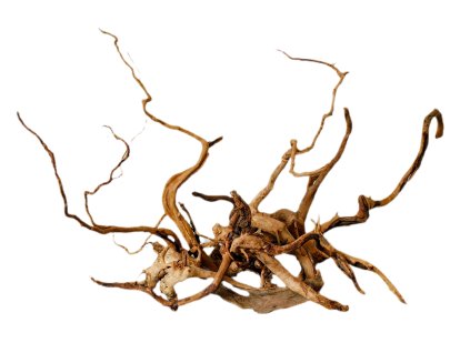 Kořeny Red Moor Wood sada 6ks no.024