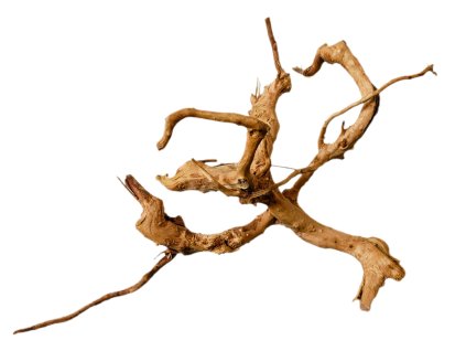 Kořen Red Moor Wood no.032