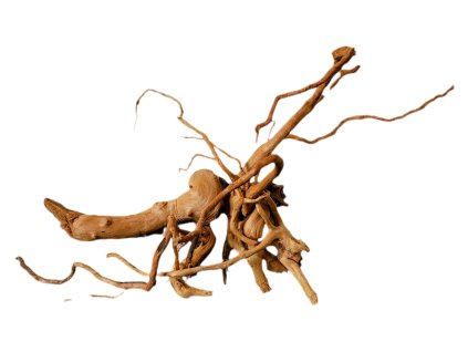 Kořen Red Moor Wood no.033