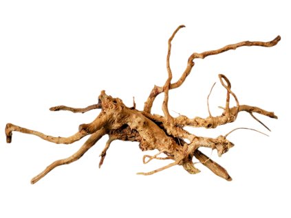 Kořen Red Moor Wood no.034