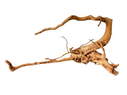 Kořen Red Moor Wood no.036