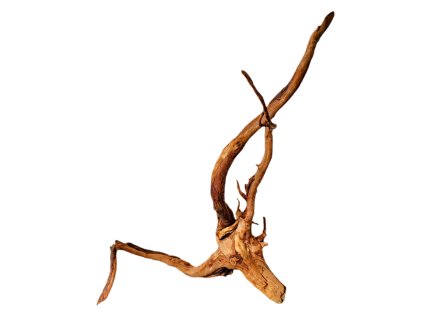 Kořen Red Moor Wood no.037