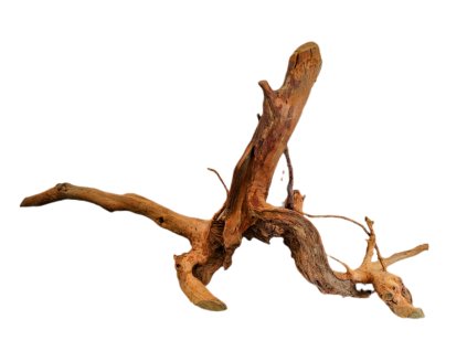 Kořen Red Moor Wood no.038