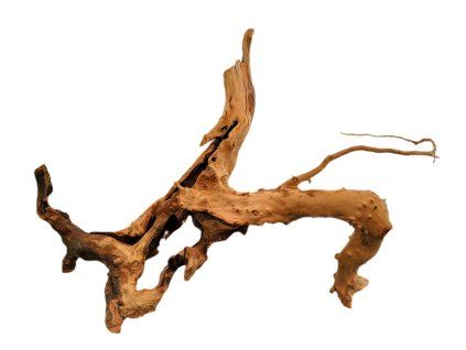 Kořen Red Moor Wood no.039