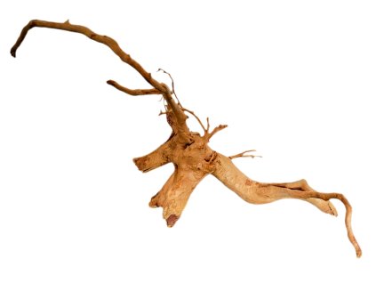 Kořen Red Moor Wood no.042