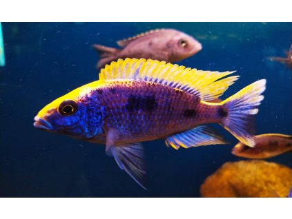 315531774 946888243366122 7149655948382887150 n