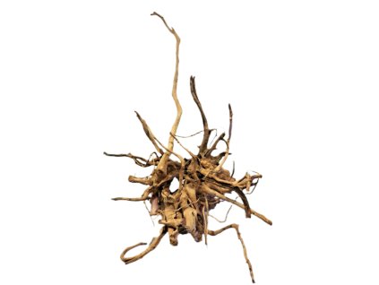 Kořen Red Moor Wood no.005