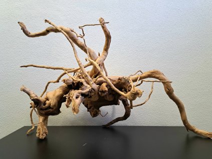 Kořen Red Moor Wood no.006