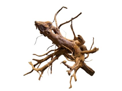 Kořen Red Moor Wood no.007