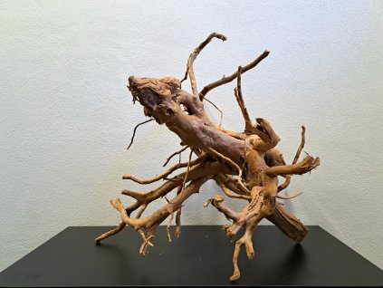 Kořen Red Moor Wood no.007