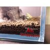 Akvárium Optiwhite set 21l vč. hardscape č.2