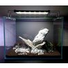 Akvárium Optiwhite set 21l vč. hardscape č.2