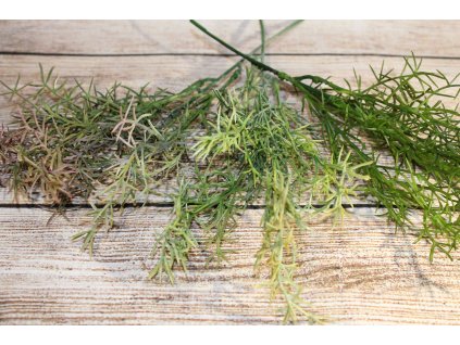 Vetvička Zápich asparagus 24cm