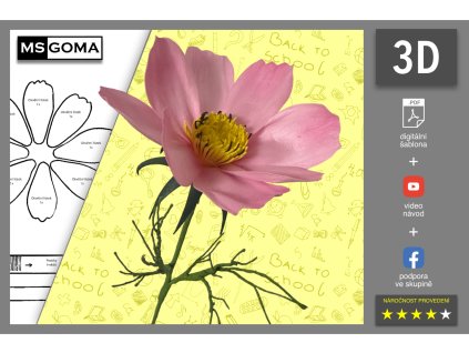 kosmea 3D digitalni sablona msgoma