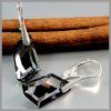 Elegantné dámske strieborné náušnice Crystal Silver Night 18 mm
