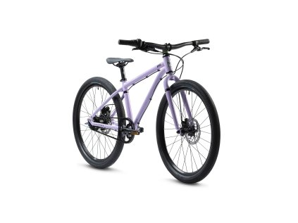 B24 3 4 on W Violet Haze 4472x