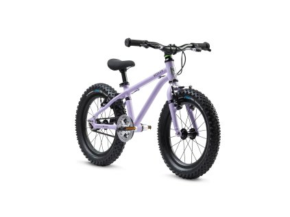 S16 3 4 on W Violet Haze 4472x