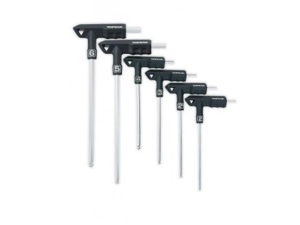 5431 kluce inbusove topeak t handle duohex wrench set